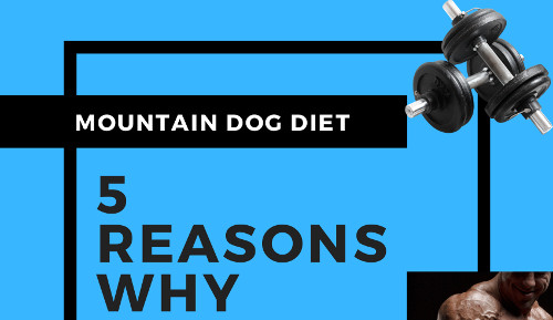 5 Reasons Why